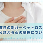 二度目の別れーペットロスを乗り越える心の整理について