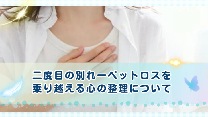 二度目の別れーペットロスを乗り越える心の整理について