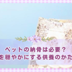 ペットの納骨は必要？心を穏やかにする供養のかたち