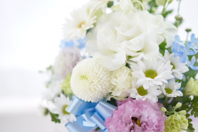 24605810_s 家に置いたままでも大丈夫？ペットの遺骨を安心して保管する方法と注意点