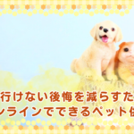 会いに行けない後悔を減らすために。オンラインでできるペット供養