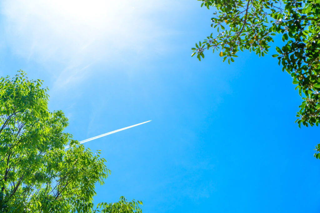 pixta_128185210_M-1024x682 ずっとそばにいたい。でも納骨すべき?迷う気持ちを整理する5つの項目