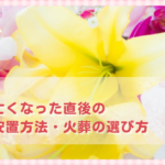 ペットが亡くなった直後の手続き・安置方法・火葬の選び方