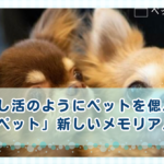 推し活のようにペットを偲ぶー「推しペット」―新しいメモリアル文化
