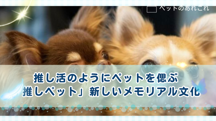 推し活のようにペットを偲ぶー「推しペット」―新しいメモリアル文化