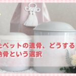 亡くなったペットの遺骨、どうする？心を癒す納骨という選択