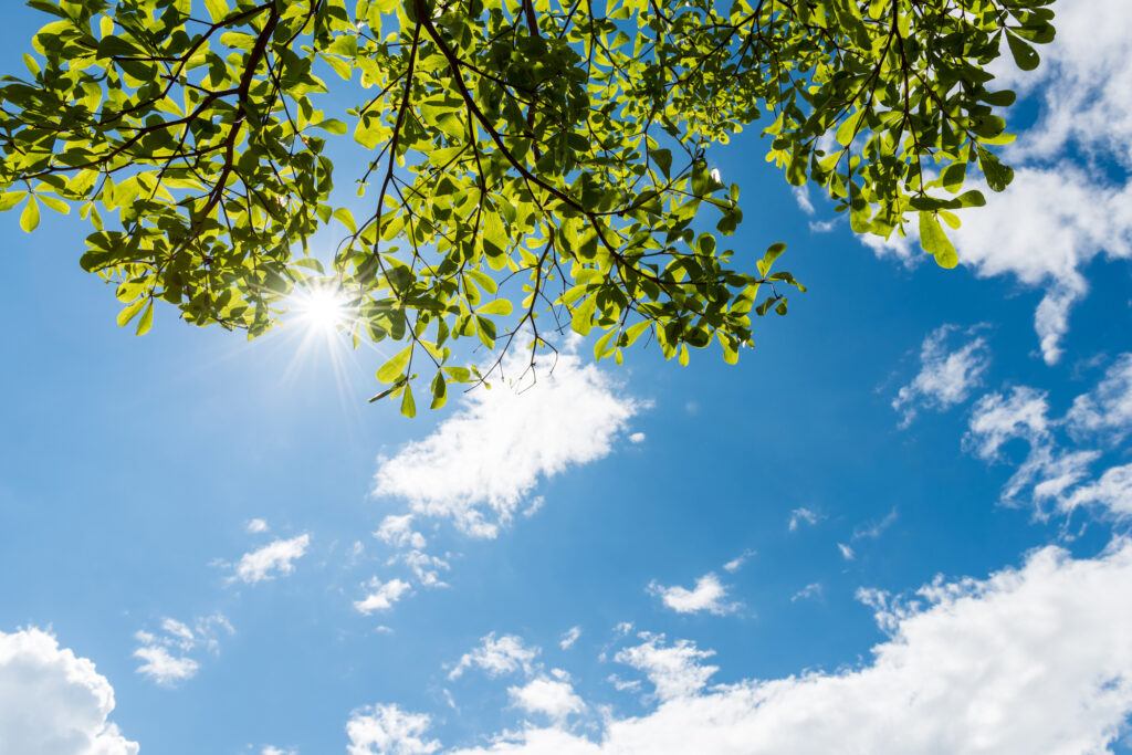 pixta_17623323_M-1024x683 納骨は遅くても大丈夫？時間が経ってからの不安を安心に変えるガイド