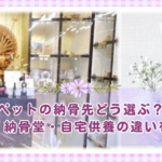 ペットの納骨先どう選ぶ？お墓・納骨堂・自宅供養の違いを解説