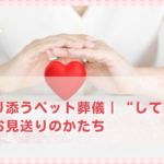 丁寧に寄り添うペット葬儀｜“してあげたい”を叶えるお見送りのかたち