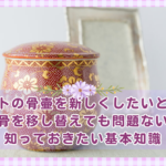 ペットの骨壷を新しくしたいとき、遺骨を移し替えても問題ない？知っておきたい基本知識