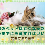 犬や猫のペットは亡くなったら、いつまでに火葬すればいい？安置方法の基本