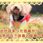 思い出が詰まった首輪やリードとどう向き合う？供養と保管の考え方