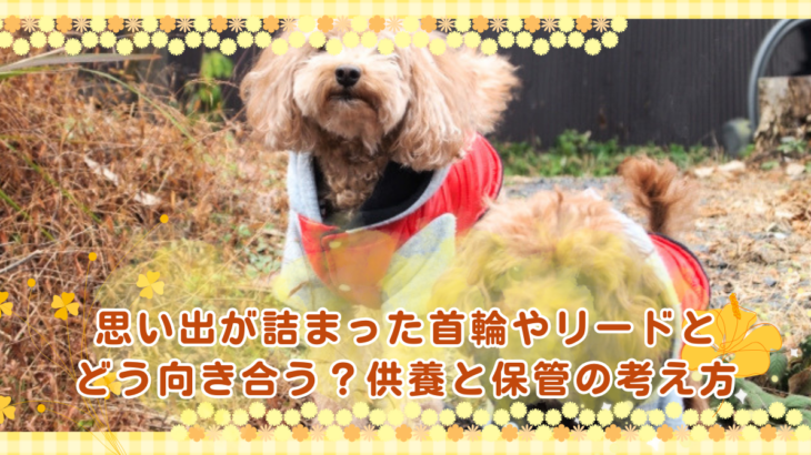 思い出が詰まった首輪やリードとどう向き合う？供養と保管の考え方