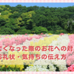 ペットが亡くなった際のお花への対応方法｜お返し・お礼状・気持ちの伝え方
