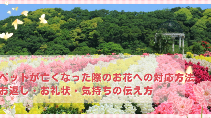 ペットが亡くなった際のお花への対応方法｜お返し・お礼状・気持ちの伝え方