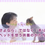 納骨は「さよなら」ではなく「ありがとう」ペットを想う供養のかたち