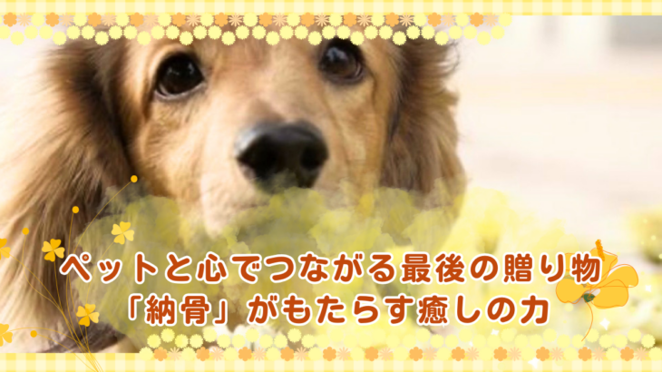 ペットと心でつながる最後の贈り物「納骨」がもたらす癒しの力