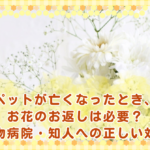 ペットが亡くなったとき、お花のお返しは必要？動物病院・知人への正しい対応