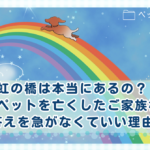 虹の橋は本当にあるの？愛するペットを亡くしたご家族様へ、答えを急がなくていい理由