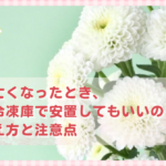 ペットが亡くなったとき、冷蔵庫や冷凍庫で安置してもいいの？正しい考え方と注意点