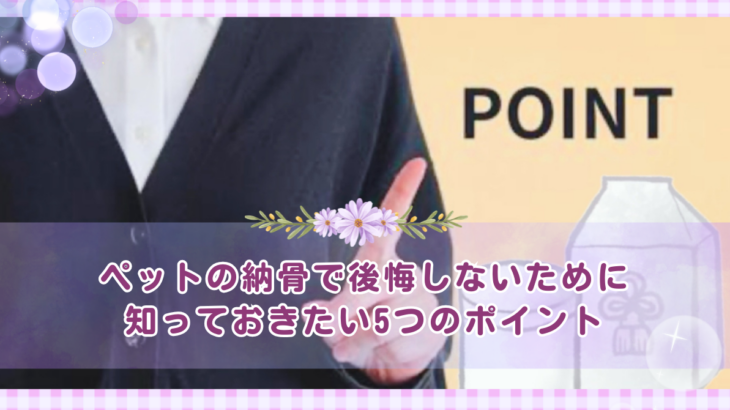 大切な鳥の羽根をきれいに残す方法｜取り扱い・乾燥・保管の基本