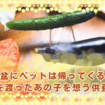 お盆にペットは帰ってくる？虹の橋を渡ったあの子を想う供養の時間