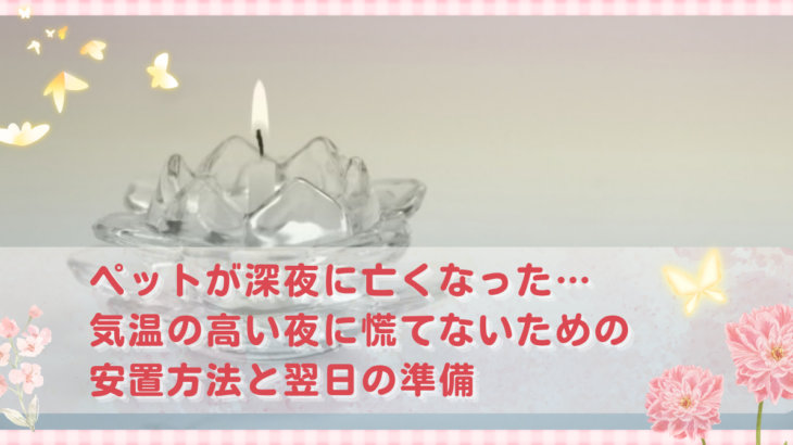 ペットが深夜に亡くなった…気温の高い夜に慌てないための安置方法と翌日の準備