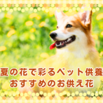 夏の花で彩るペット供養｜おすすめのお供え花