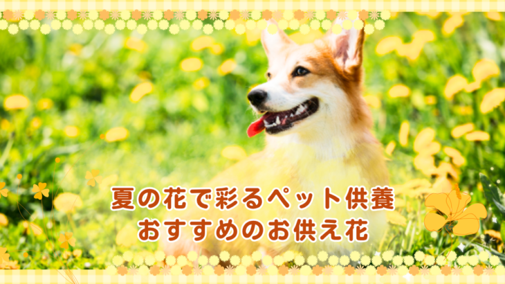 夏の花で彩るペット供養｜おすすめのお供え花